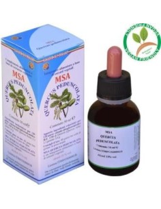 Msa Quercus Peduncolata Yemas ( Roble) 50 Ml de Herboplanet