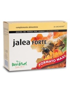 Jalea Forte 24 Unicadose de Herdibel