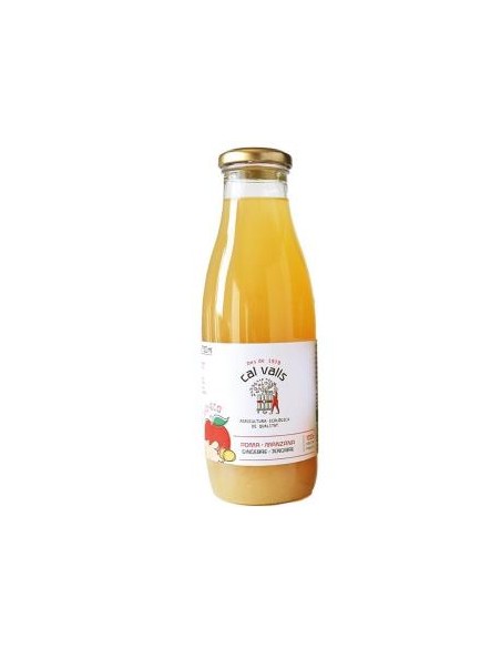 Zumo De Manzana Con Jengibre 750 Ml Eco de Cal Valls