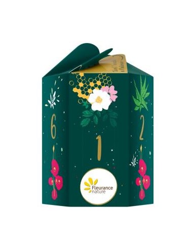 Cofre Descubrimiento 2024 - Bosque Encantado de Fleurance Nature