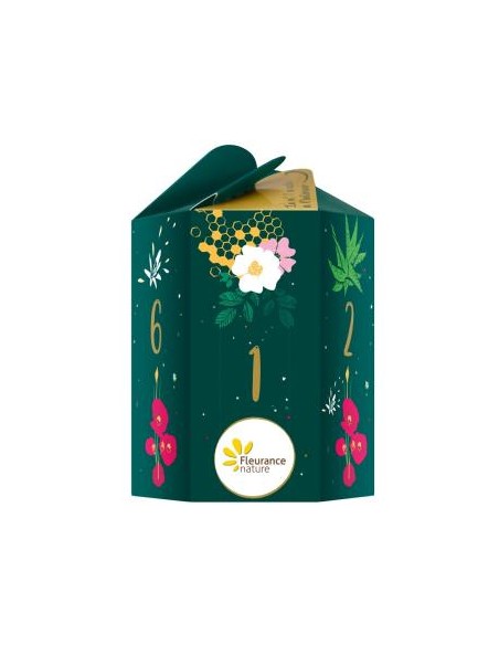 Cofre Descubrimiento 2024 - Bosque Encantado de Fleurance Nature