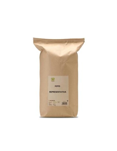Boldo Cortado 1 Kg. de Naturcid