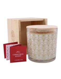 Vela Vaso Xscent22  Moss-Patchouli 10X10Cm 1Ud. de Cerabella