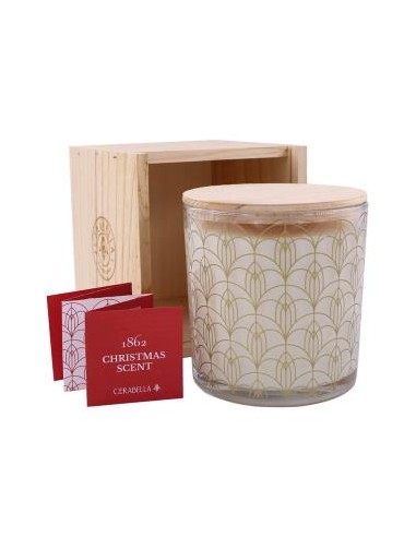 Vela Vaso Xscent22  Moss-Patchouli 10X10Cm 1Ud. de Cerabella