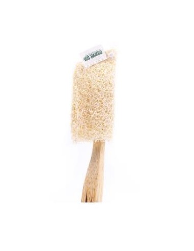Funda Protectora De Luffa Cepillo Dental. de Biobambu