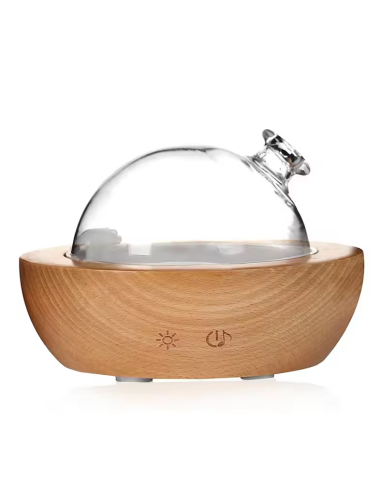 Bulle Cristal De Recambio Para Difusor de Pranarom