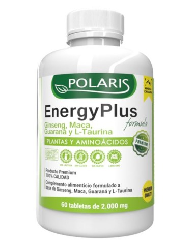 EnergyPlus