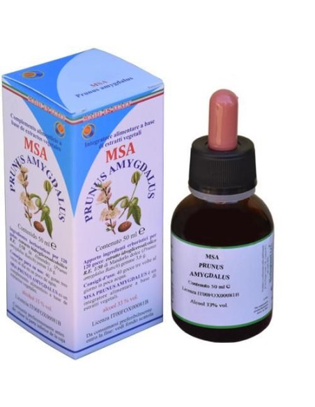 MSA Prunus Amygdalus