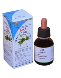 Msa Betula Verrucosa  Yemas (Abedul) de Herboplanet 2