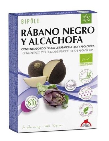 Bipole Rabano Negro y Alcachofa