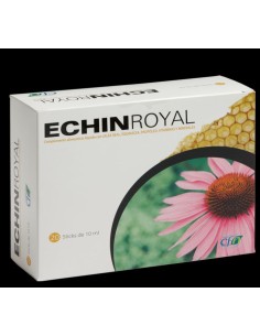 Echin Royal 20Amp. 2