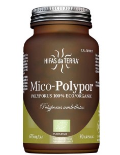 Mico Polypor (Polyporus) Hdt 70Cap. de Hifas Da Terra 2