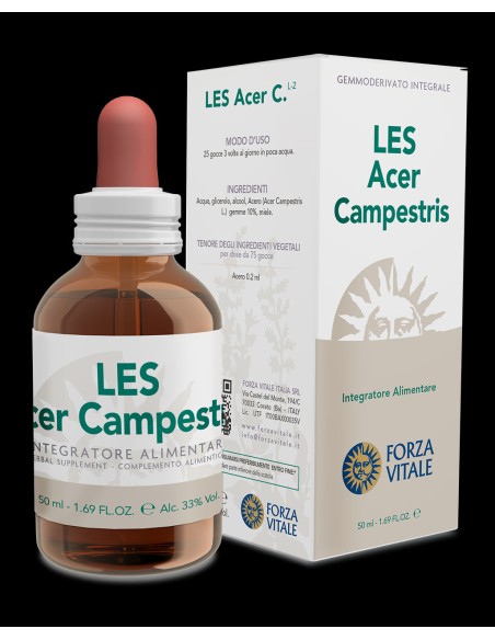 LES Acer Campestris