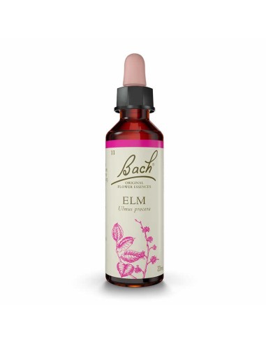 (11) Elm