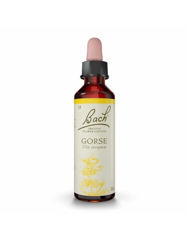 (13) Gorse