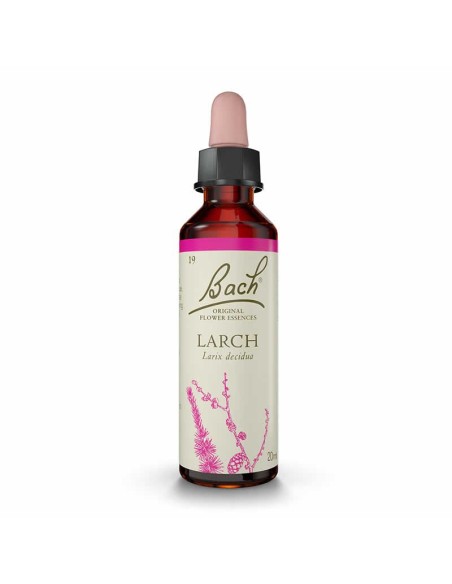 (19) Larch