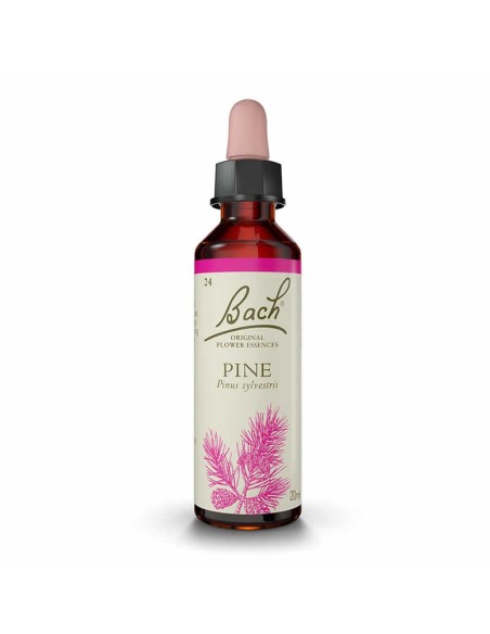 (24) Pine