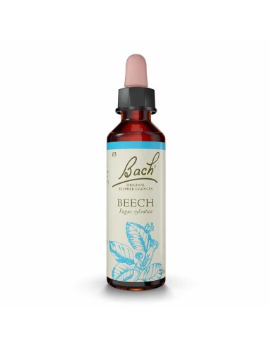 (03) Beech
