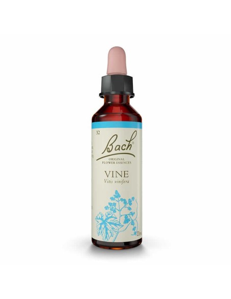 (32) Vine