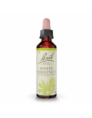 (35) White Chestnut