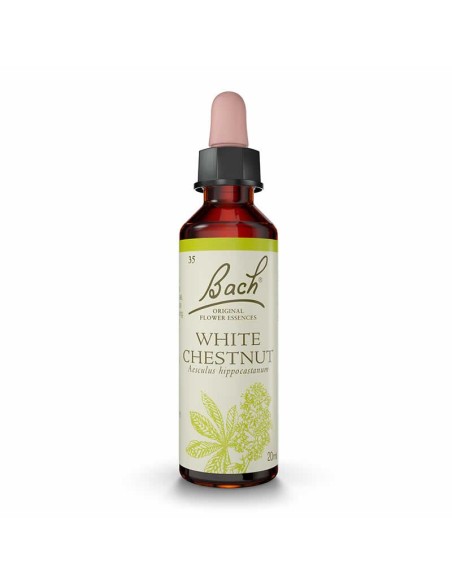 (35) White Chestnut