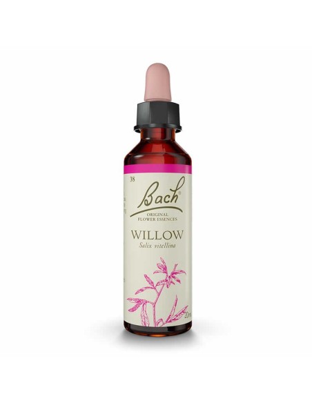 (38) Willow