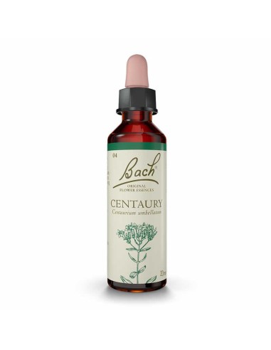 (04) Centaury
