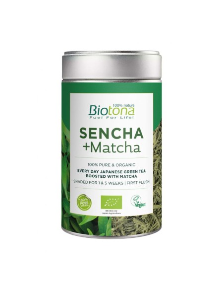 TeaSencha + Matcha