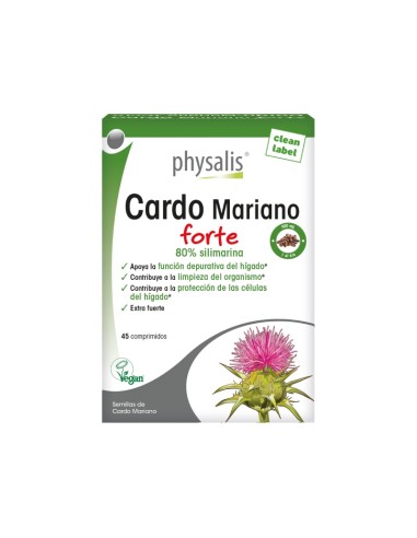 Cardo Mariano Forte