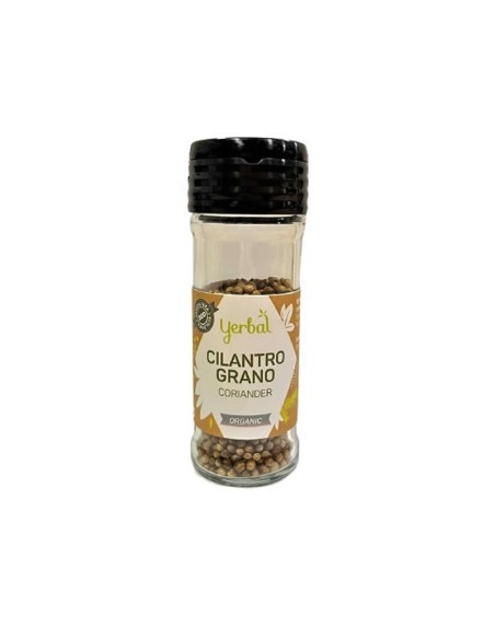 Especia Cilantro Grano