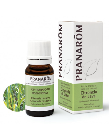 Spray Citronela De Java Pranarom 30 ml - Protección Natural