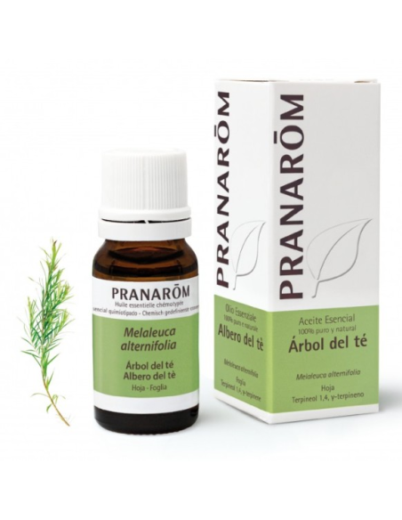 Aceite Esencial Árbol del Té 100 ml Pranarom Natural