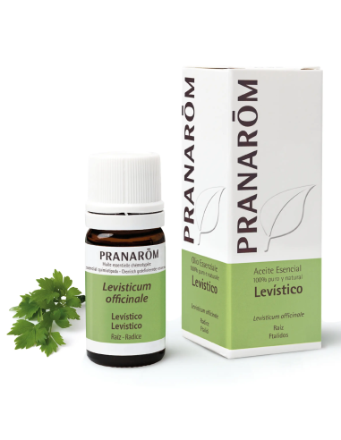 Levistico Raiz 5 Ml Pranarom – Natural Essential Oil Care