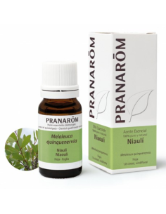 Niauli Leaf 100ml Pranarom – Pure Essential Oil Care