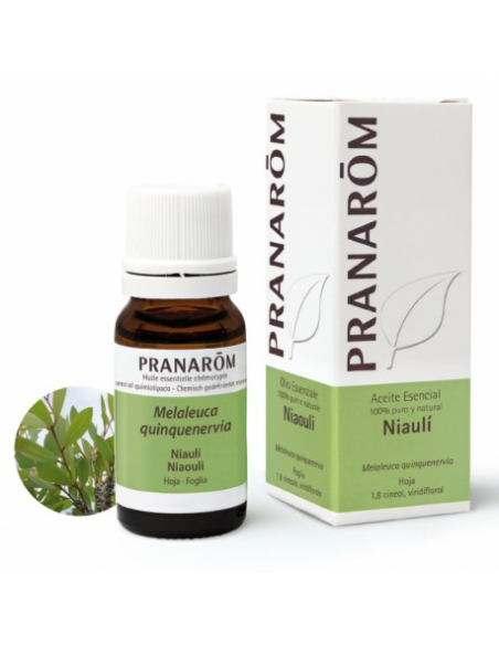 Niauli Leaf 100ml Pranarom – Pure Essential Oil Care