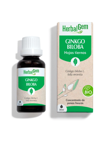 Ginkgo Bio 30 Ml de Herbalgem