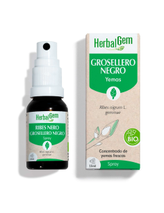 Grosellero Negro Bio Spray 15 ml | Herbalgem Natural y Eficaz