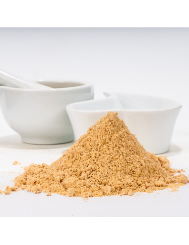 Mostaza Amarilla Molida 100Gr de Pinisan Mb