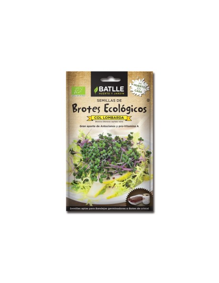 Brotes Col Lombarda para Germinar | Sobres Batlle Calidad