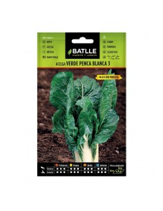 Semillas Acelga Verde Penca Ancha Batlle  Calidad y Frescura