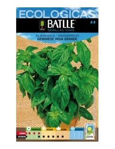 Semillas Albahaca Genovese Hoja Grande Batlle  Cultiva Fácil