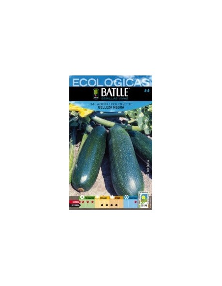 Semillas Calabacín Bellezza Negra Batlle | Calidad y Rendimiento