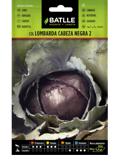 Semillas Col Lombarda Cabeza Negra PENC Batlle  Calidad Top