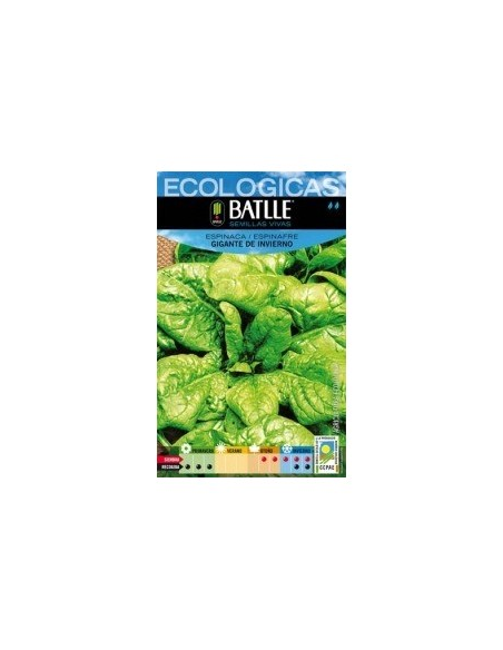 Semillas Espinaca Gigante de Invierno Batlle  Cultiva Saludable