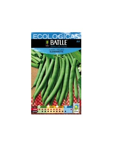 Semillas Judía Slenderette Batlle  Calidad y Rendimiento Top