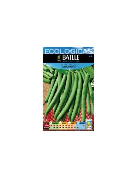 Semillas Judía Slenderette Batlle  Calidad y Rendimiento Top