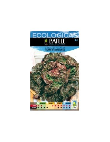 Semillas Lechuga Cuatro Estaciones Batlle  Cultiva Fácilmente
