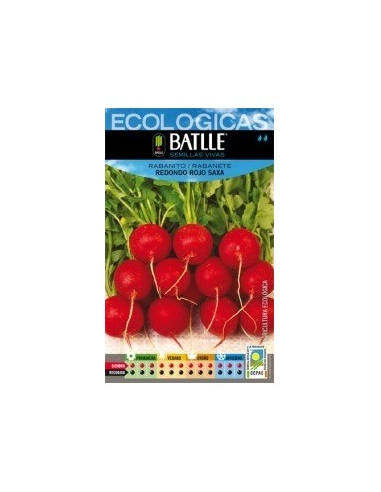 Semillas Rabanito Redondo Rojo Saxa Batlle  Calidad y Frescura