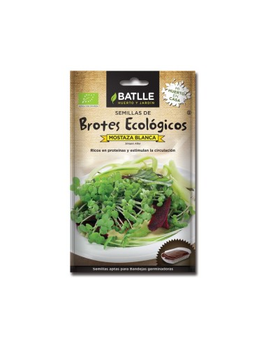 Brotes de Mostaza Blanca Batlle para Germinar  Calidad Top