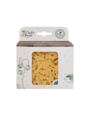 Esponja Marina Mediterránea 10-11cm Croll&Denecke